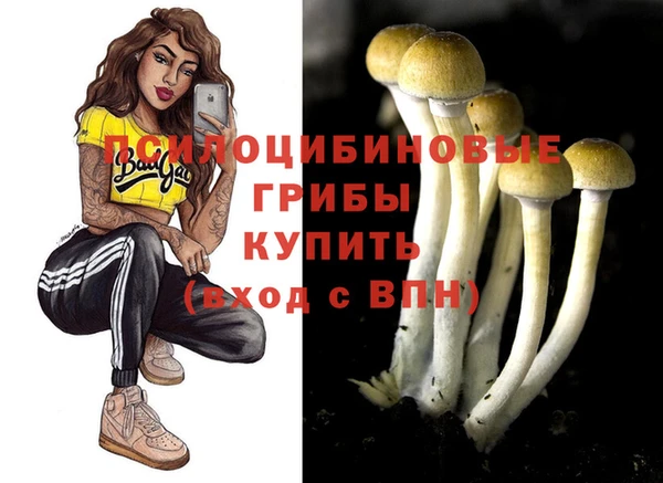 дживик Магадан