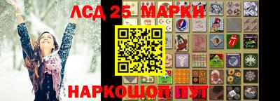 PSILOCYBIN Заволжье