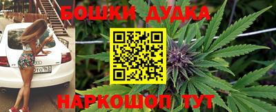 ешки Будённовск