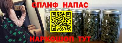 PSILOCYBIN Заволжье