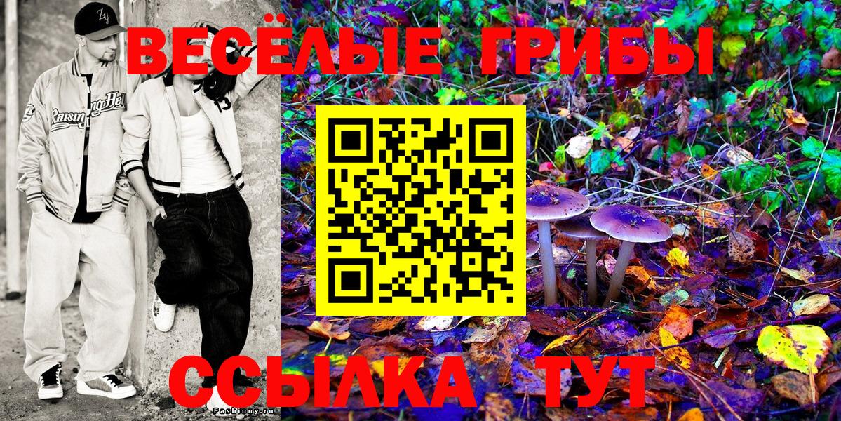 Галлюциногенные грибы прущие грибы  Чайковский 